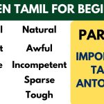 Tamil Antonyms