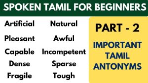 Tamil Antonyms