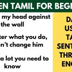 0:04 / 7:53 • Intro Daily Usage Tamil sentences through English