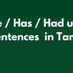 Have / Has /Had usage Tamil sentences