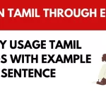 Daily usage Tamil words with example sentences