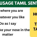 Small Tamil Sentences