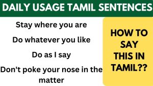 Important Tamil sentences for Beginners | Learn Tamil through English | Spoken Tamil through English Small Tamil Sentences