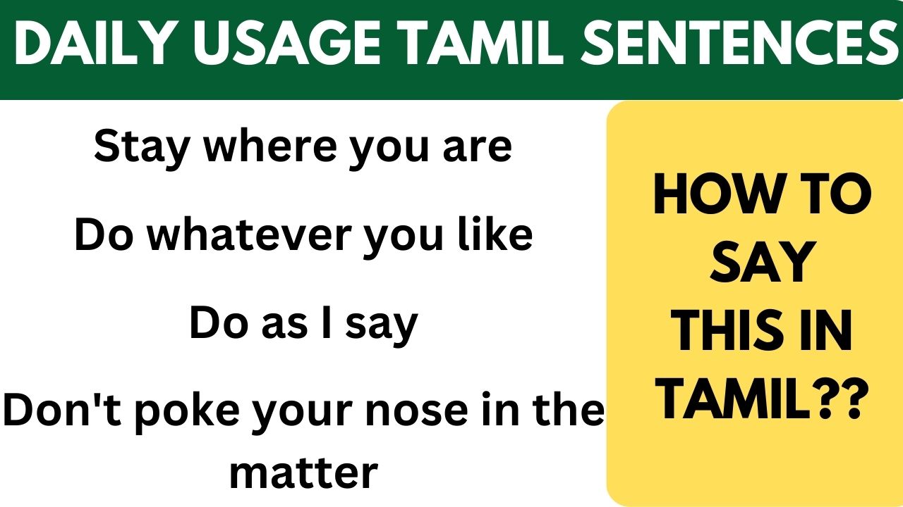 Read more about the article Important Tamil sentences for Beginners | Learn Tamil through English | Spoken Tamil through English