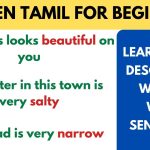 Learn Tamil Describing words