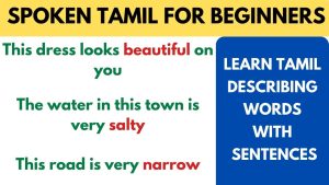 Learn Tamil Describing words