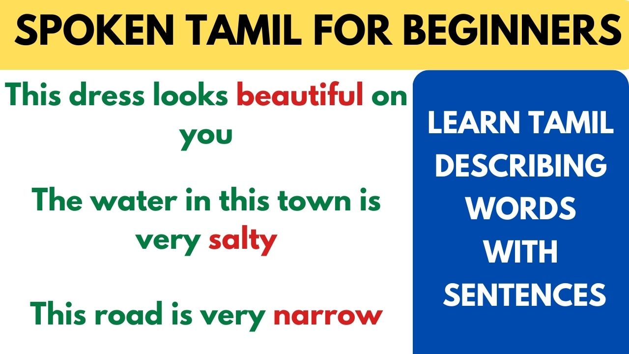 Read more about the article Learn Tamil Describing words through English | Learn Tamil through English