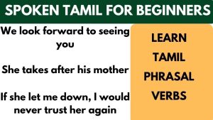 Tamil Phrasal Verbs
