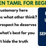 Colloquail Tamil sentences through English