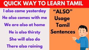 Usage of Also in Tamil sentences
