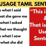 This is what & That is what usage sentences in Tamil